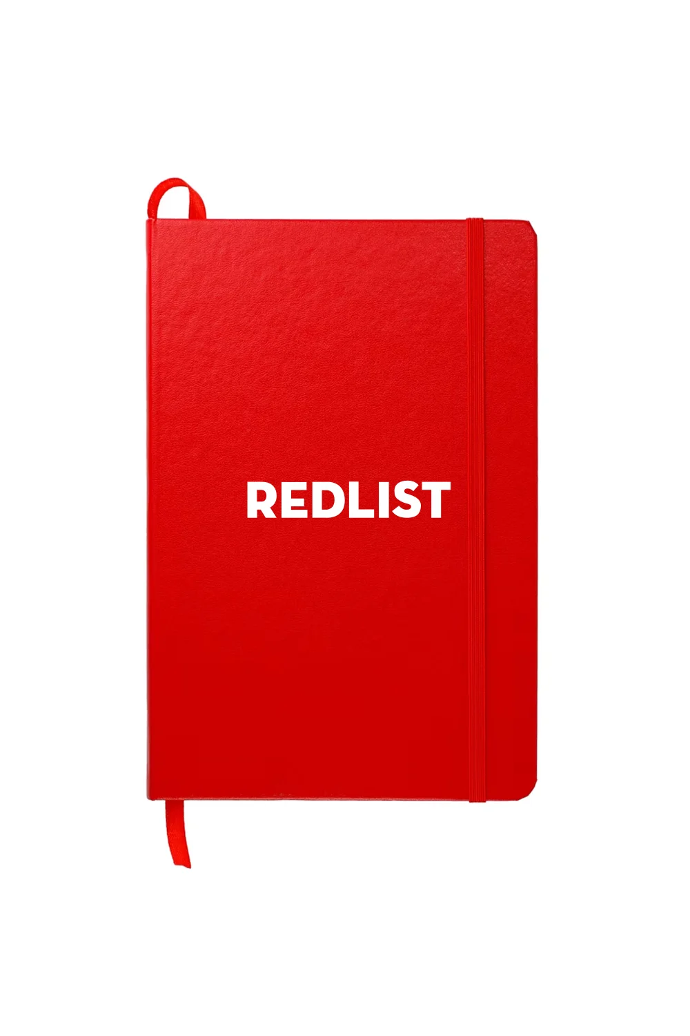Alternative view of Ambassador Bound JournalBook